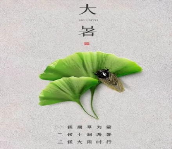 大暑将至，警惕 “隐形杀手”：中暑与热射病的科学防范指南
